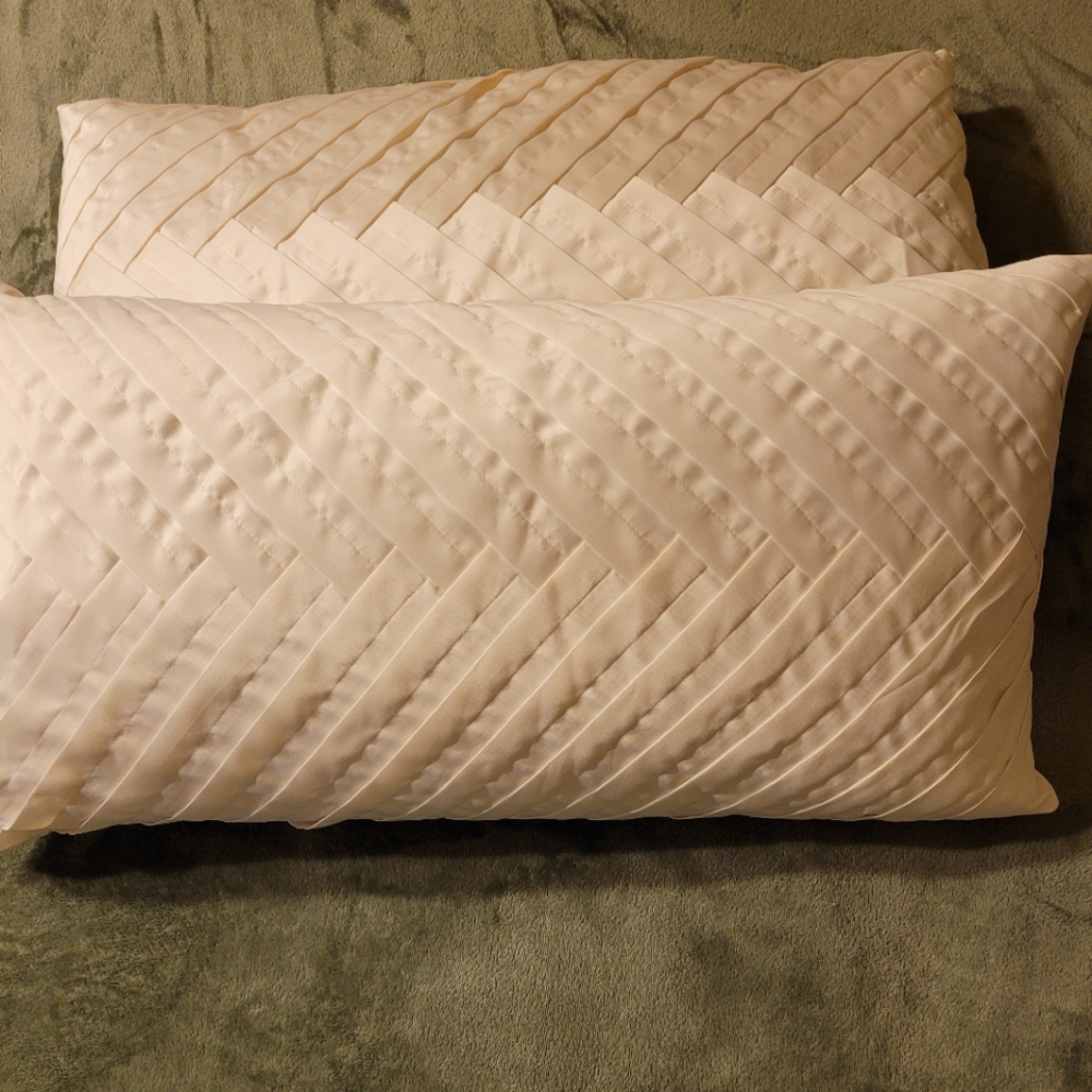 🌟 NEW Fieldcrest Luxury Satin Ivory Feather Accent / Toss pillow